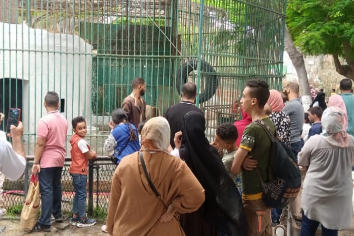 اهتمام المواطنين بحديقة حيوان الإسكندرية