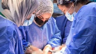 تدريسية في كلية طب المستنصرية تنجح في اجراء عملية نوعية لرفع الرحم بالكامل تدريسية في كلية طب المستنصرية تنجح في اجراء عملية نوعية لرفع الرحم بالكامل