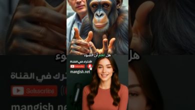 هل تعلم؟ 8 حقائق علمية مذهلة قد تغير طريقة تفكيرك