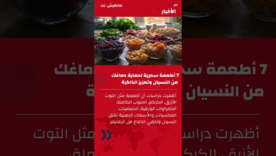 7 أطعمة سحرية لحماية دماغك من النسيان وتعزيز الذاكرة