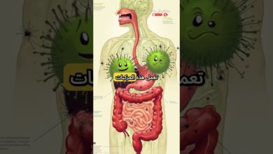 خفض الكوليسترول بدون أدوية: أعشاب ومكملات مدعومة علميًا