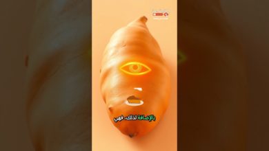 الجميع يظن أن الموز الأفضل للبوتاسيوم الحقيقة ستفاجئك الجميع يظن أن الموز الأفضل للبوتاسيوم الحقيقة ستفاجئك