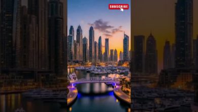 #dubai #shortvideo #burjkhalifa #dubaibeach #dubailife #explore #dubai #shortvideo #burjkhalifa #dubaibeach #dubailife #explore