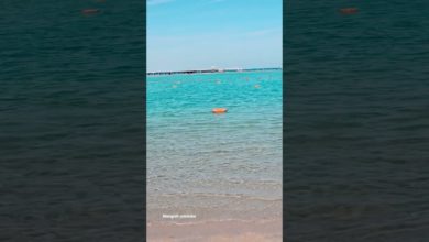 الغردقة، مصر: جنة الشواطئ والاسترخاء تحت أشعة الشمس #شواطئ_الغردقة, #البحر_الأحمر, #سياحة_مصر الغردقة، مصر: جنة الشواطئ والاسترخاء تحت أشعة الشمس #شواطئ_الغردقة, #البحر_الأحمر, #سياحة_مصر