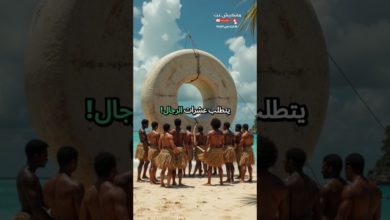 أغرب عملة استخدمت قديماً؟ هذه المعلومة ستدهشك أغرب عملة استخدمت قديماً؟ هذه المعلومة ستدهشك