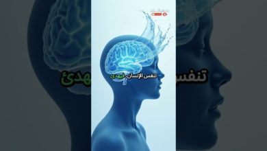 لماذا يُصدر البحر صوتًا مهدئًا؟ لماذا يُصدر البحر صوتًا مهدئًا؟