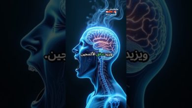 لماذا يتثاءب الإنسان؟ #shorts لماذا يتثاءب الإنسان؟ #shorts