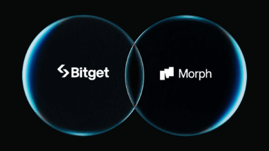 منصة Bitget تحول 440 مليون رمز BGB إلى مؤسسة Morph، لتسريع اعتماد BGB كرمز للغاز والحوكمة في سلسلة Morph منصة Bitget تحول 440 مليون رمز BGB إلى مؤسسة Morph، لتسريع اعتماد BGB كرمز للغاز والحوكمة في سلسلة Morph