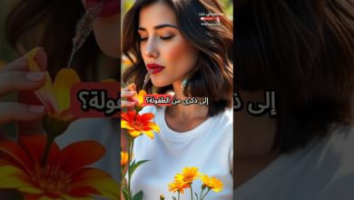 “لماذا يتذكر الإنسان الروائح أكثر من الصور “لماذا يتذكر الإنسان الروائح أكثر من الصور