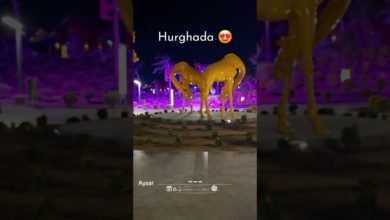 #shots #vacation #hurghada #shots #vacation #hurghada