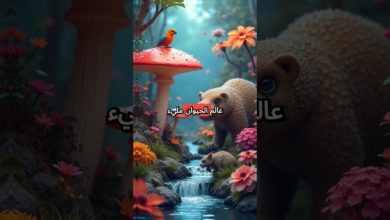 كائن ينام لمدة ثلاث سنوات متواصلة كائن ينام لمدة ثلاث سنوات متواصلة