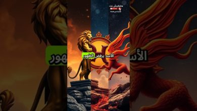 3 أبراج لا تعترف بخطئها أبدًا… احذر التعامل معها 3 أبراج لا تعترف بخطئها أبدًا… احذر التعامل معها