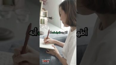 التوت الأزرق: الغذاء الذكي لتقوية الذاكرة وحماية الدماغ التوت الأزرق: الغذاء الذكي لتقوية الذاكرة وحماية الدماغ