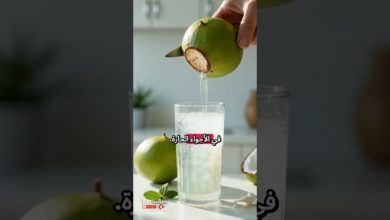 ماء جوز الهند: أفضل مشروب طبيعي لترطيب الجسم وتنظيم الضغط ماء جوز الهند: أفضل مشروب طبيعي لترطيب الجسم وتنظيم الضغط