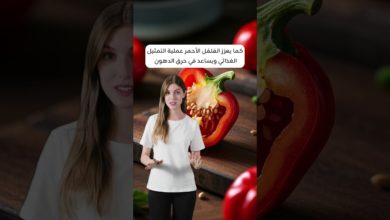 هل تعلم أن الفلفل الأحمر يحارب السرطان؟ اكتشف قوة الكابسيسين هل تعلم أن الفلفل الأحمر يحارب السرطان؟ اكتشف قوة الكابسيسين
