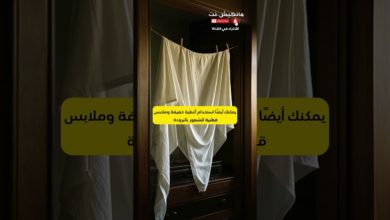 كيف تحافظ على برودة منزلك بدون مكيف هواء في الصيف كيف تحافظ على برودة منزلك بدون مكيف هواء في الصيف