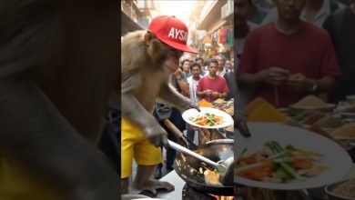 A skilled monkey serving delicious dishes at the market! A skilled monkey serving delicious dishes at the market!