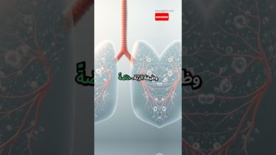 فاكهة الكاكايا: سِلاح طبيعيّ لتقوية المناعة وتنظيف الجهاز التنفّسي فاكهة الكاكايا: سِلاح طبيعيّ لتقوية المناعة وتنظيف الجهاز التنفّسي