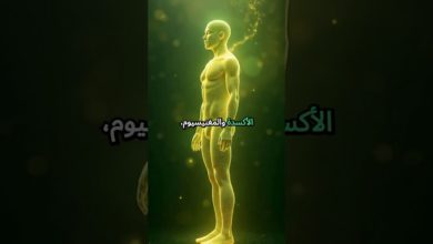 زيت السِّمسم: نقطة واحدة قد تُغيّر صحّة قلبك ومفاصلك زيت السِّمسم: نقطة واحدة قد تُغيّر صحّة قلبك ومفاصلك