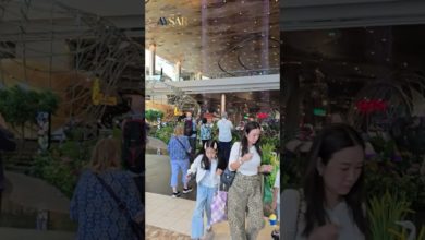 جولة في “أيقونة سيام”: سوق عائم وشلالات داخلية – أجمل مول في بانكوك ICONSIAM جولة في “أيقونة سيام”: سوق عائم وشلالات داخلية – أجمل مول في بانكوك ICONSIAM