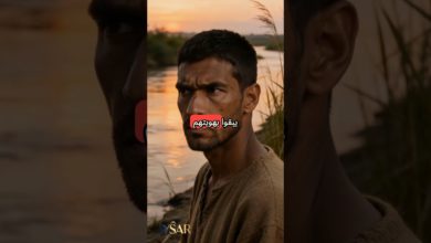 بين العاطفة والمنهج: حقيقة استمرار الأمة الآشورية – #shorts بين العاطفة والمنهج: حقيقة استمرار الأمة الآشورية – #shorts